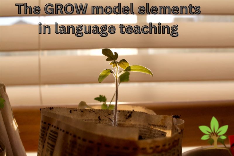 The GROW Model Coaching Elements In Language Teaching